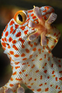 01 Beitragsbild 1