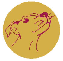 01 Symbol