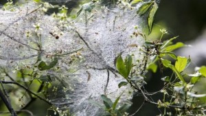 02 Beitragsbild 2