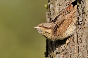 02 Beitragsbild 2