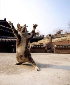 01 Beitragsbild 1