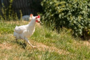 01 Beitragsbild 1