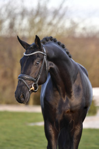 02 Beitragsbild 2