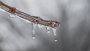 02 Beitragsbild 2