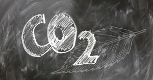 05 Beitragsbild 5