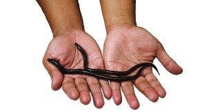 01 Beitragsbild 1