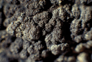 Manganknolle_Detail