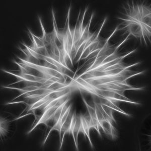 02 Beitragsbild 2
