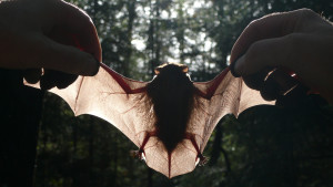 01 Beitragsbild 1