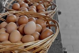 01 Beitragsbild 1