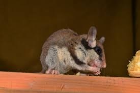 01 Beitragsbild 1