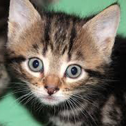 02 Beitragsbild 2