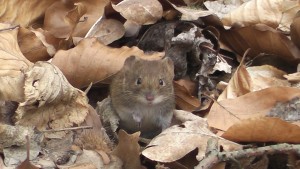 02 Beitragsbild 2