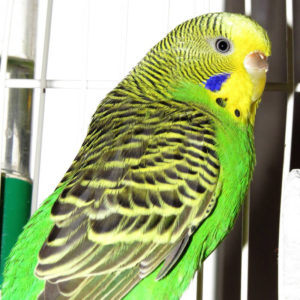 03 Beitragsbild 3