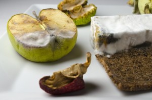 04 Beitragsbild 4