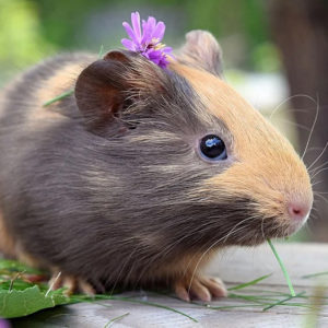 07 Beitragsbild 7