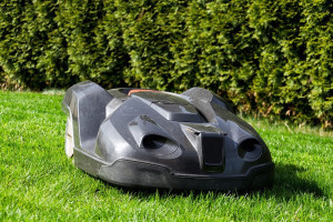 Beitragsbild 1