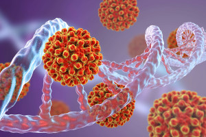 Hepatitis B viruses and DNA. Conceptual image for viral oncogenesis. Hepatitis B viruses (HBV) can integrate into host DNA as insertional mutagens causing the activation of a cellular proto-oncogene. Integration of viral DNA into the human genome is considered an early event in the carcinogenic process and can induce, through insertional mutagenesis, the alteration of gene expression and chromosomal instability.