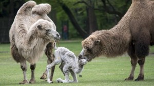 02 Beitragsbild 2