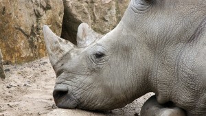 03 Beitragsbild 3