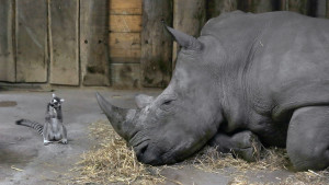 05 Beitragsbild 5