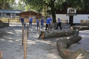 Walldorf. Aktion Wir schaffen was 2018 nIm Tierpark wurde schwer gearbeitet. 15.09.2018 - Helmut Pfeifer.
