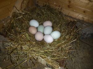 05 Beitragsbild 5