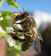 01 Beitragsbild 1