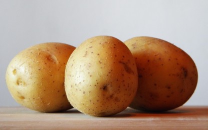 Dürfen Katzen Kartoffeln essen?