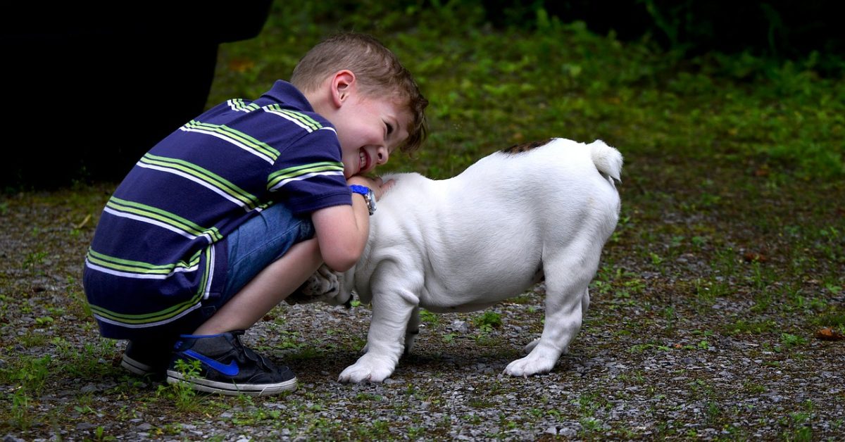 Kinderliebe Hunderassen - Haustiere-Lexikon.com