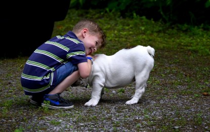 Kinderliebe Hunderassen