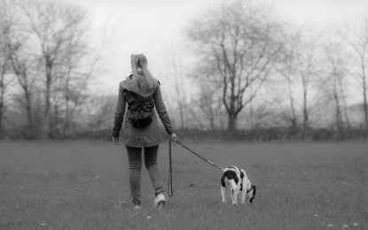 Hundeleine selber machen – 3 Anleitungen