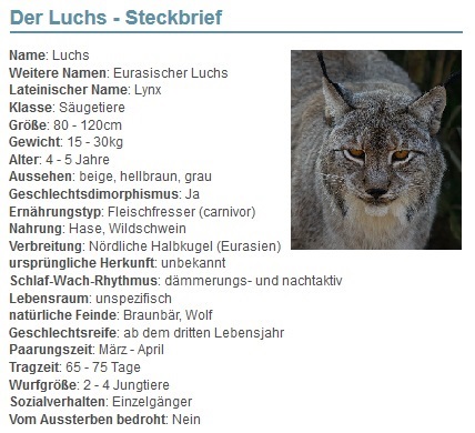 01 Der Luchs - Steckbrief - Haustiere-Lexikon.com