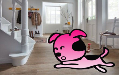 Eignet sich Vinylboden für meinen Hund?