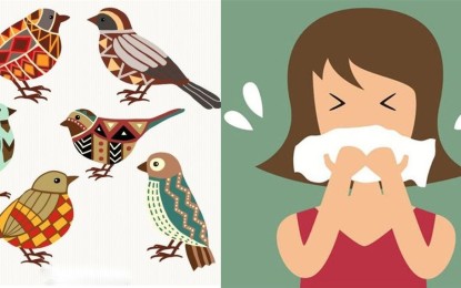 Was mach ich bei einer Vogel-Allergie?