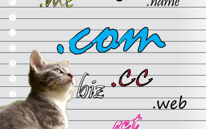 Katzen würden Cat-Domains registrieren…