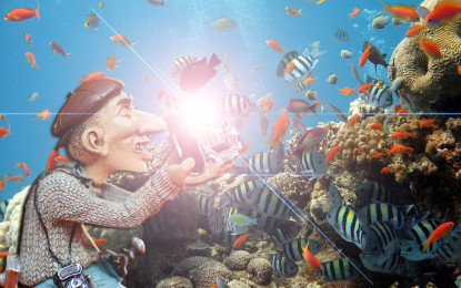 Fische scheuen kein Blitzlichtgewitter
