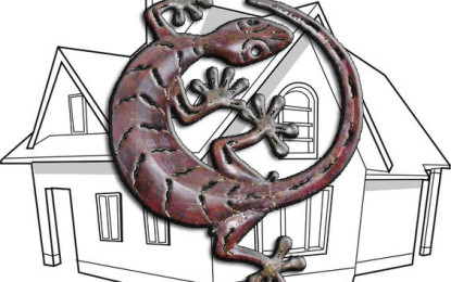 Der Gecko und wir