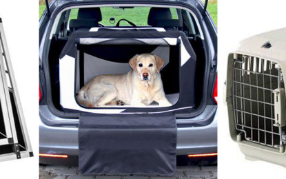 Tiere im Auto – Transportbox ist beste Wahl