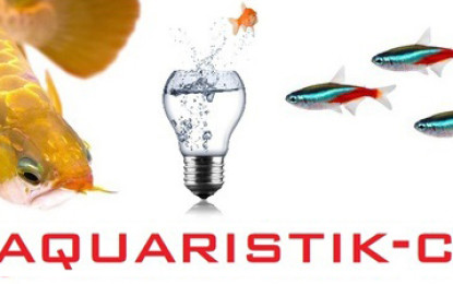 Die Fische erobern den Online-Markt