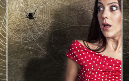 Arachnophobie – Angst vor Spinnen