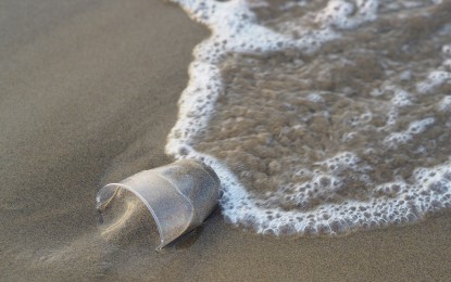 Kunststoffmüll in der Nordsee – Dreharbeiten auf Helgoland für digitales Bildungsprojekt