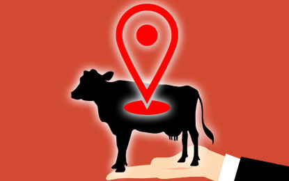 Der Vital-Tracker für die Kuh: Dieser Sensor misst Fieber, erkennt Brunst & rettet Leben