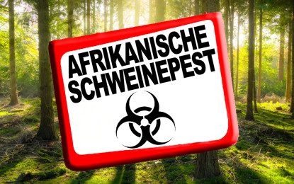 TÜV SÜD informiert zur Afrikanischen Schweinepest