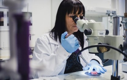 Künstlicher Darm soll Tierversuche eingrenzen