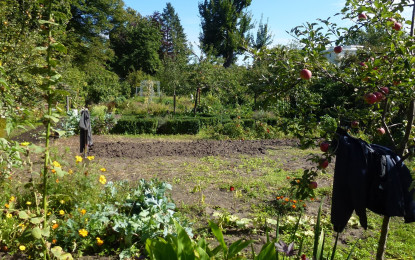 TÜV SÜD gibt Tipps für mühelose Gartenarbeit