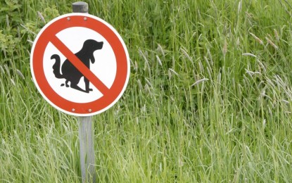 Landwirte fordern – Hunde gehören nicht auf den Acker