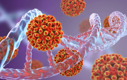 Der Tarnung des Hepatitis-B-Virus auf der Spur