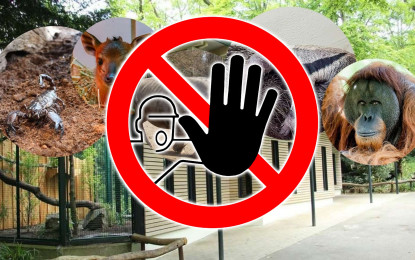 Tierisch gut: merkarion unterstützt den Zoo Dortmund